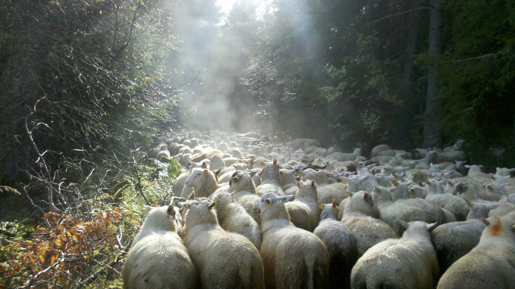 2012-09-19-09.52.421-1024x575