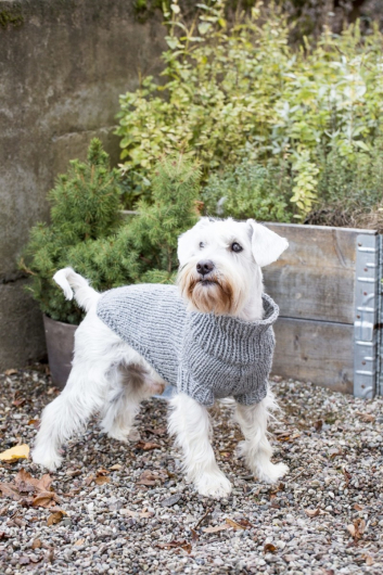 Hundtäcke med reflex