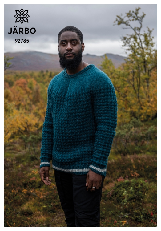 Mönster - Glaciär - stickad oktröja - Herr | Eddna SE