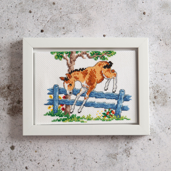 Lekfullt föl - tavla