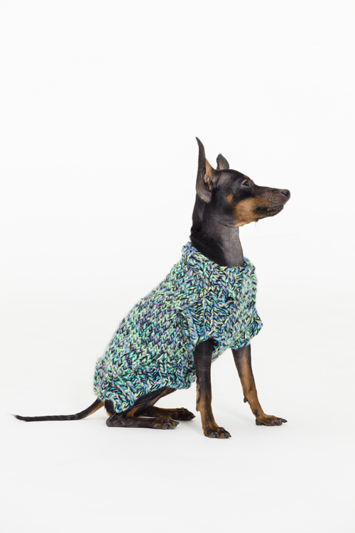 Grovstickad hundtröja