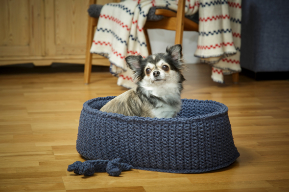 Virkad hundkorg och hundben
