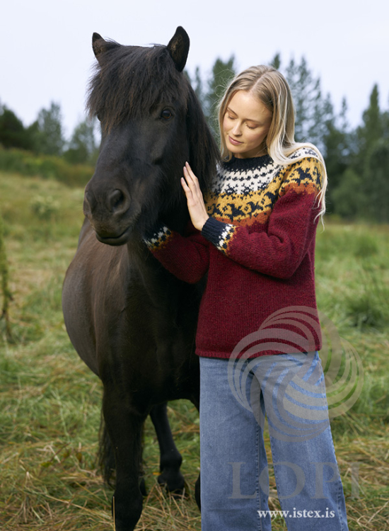 Farfuglar - Stickad tröja i Léttlopi