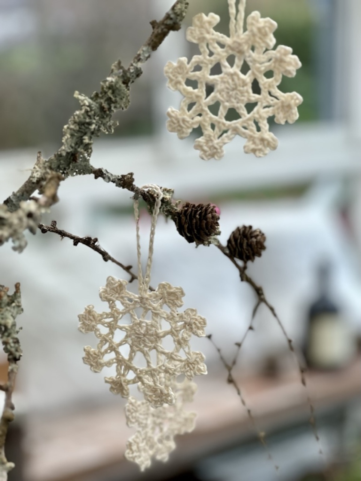 thumbnail_Stjarna_Jarbo